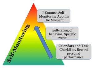 Self Monitoring Iage